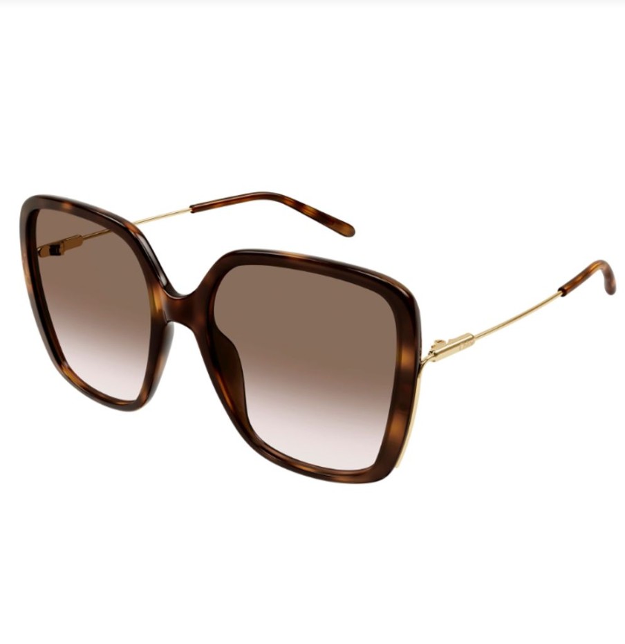 Accessories Chloé | Ch0173 Sunglasses Havana