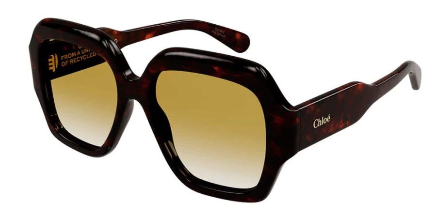 Accessories Chloé | Ch0154 Sunglasses Havana